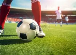 曼城击败多,特挺进欧冠,半决赛,亚博体彩官网,亚博体彩Yabo官网入口,亚博体彩网站,亚博体彩官网娱乐,亚博体彩Yabo,亚博体彩Yabo登录入口